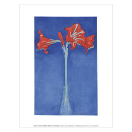 Piet Mondrian Red Amaryllis with Blue Background art print